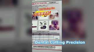 Distribuidor de la Alianza Global AUTOFOR