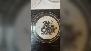 ¿El fluido de corte tiene propiedades antioxidantes? ¿Cómo probarlo?